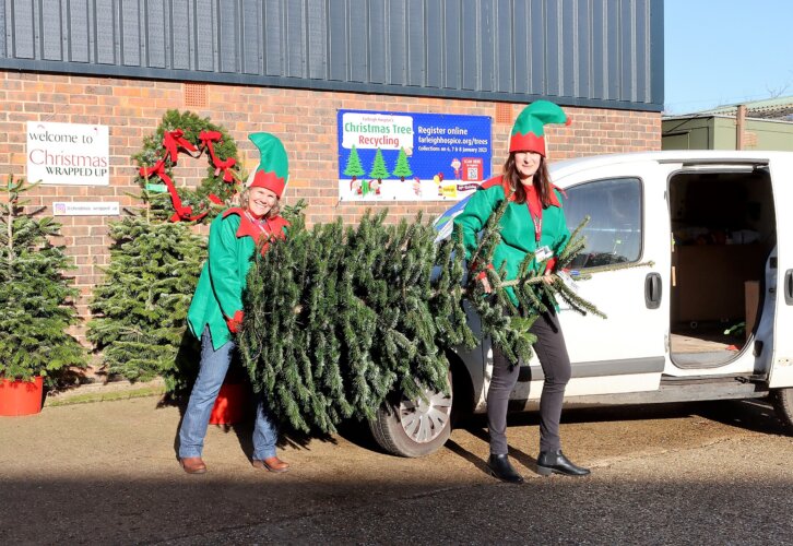 Two Farleigh staff members dressed as elves load a real Christmas tree into a van