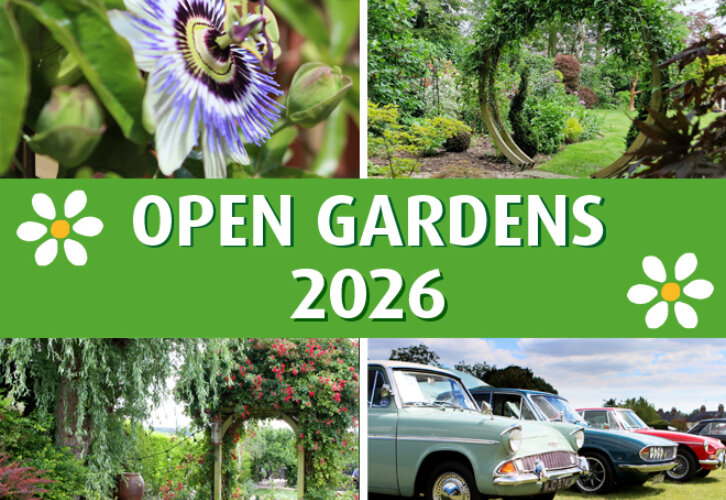 A montage of images from gardens across mid Essex including classic cars