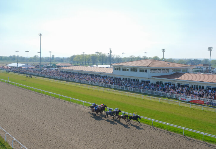 A group of racehorses shown on the track with a full stand behind at the racecourse